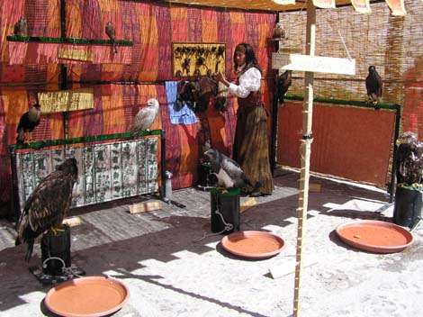 Estepona, Malaga : El Ayuntamiento saca a licitación dos ferias temáticas, incluido el Mercado Medieval