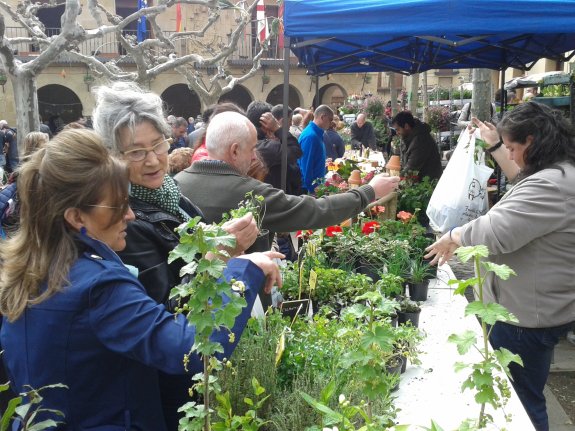 V Mercado de la Flor y de la Huerta de Zieko,Álava.9 de Abril del 2016.