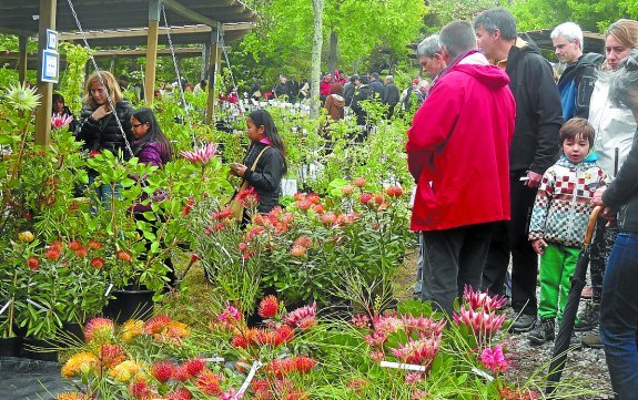 XIV Feria de Plantas de Colección de Aia,Guipúzcoa.23 y 24 de Abril del 2016.