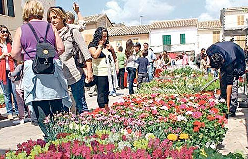Fira de la Jardineria,Floristeria i Hortofructicultura de Costitx,Mallorca.1 de Mayo del 2016.