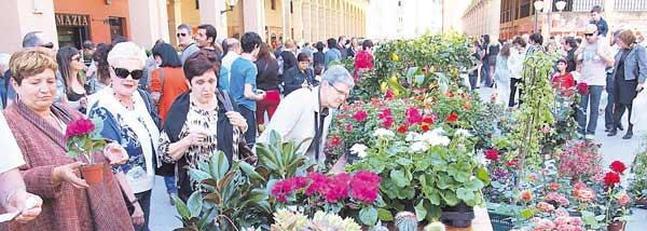 XI Feria de Flores y Plantas de Urretxu,Guipúzcoa.17 de Abril del 2016.