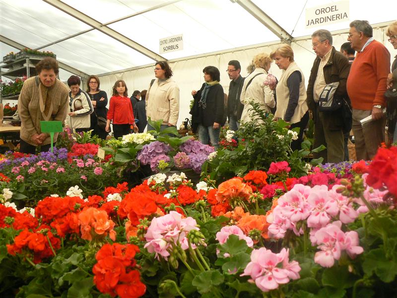 VII Feria de la Primavera de Biescas,Huesca – 14 y 15 de Mayo del 2016.