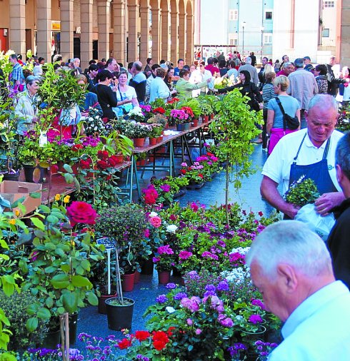 Feria de Flores y Plantas de Tolosa,Guipúzcoa – 28 de Mayo del 2016.