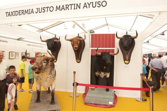 XVII Feria de Espectáculos Taurinos Tradicionales de Medina del Campo,Valladolid – 4 y 5 de Junio del 2016.