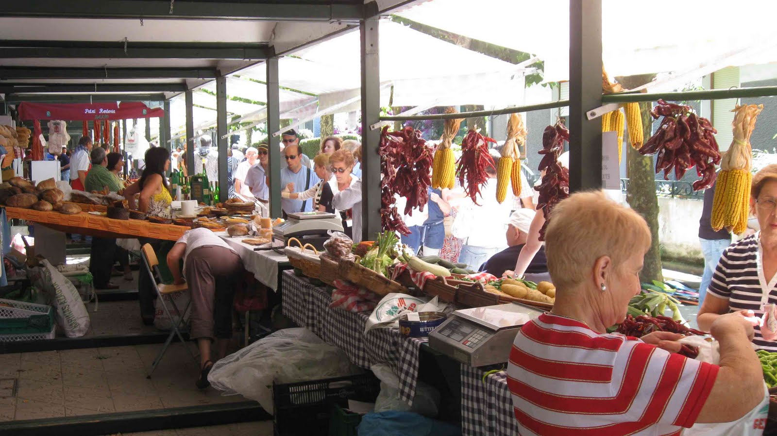 Feria Agrícola de Llano (Barakaldo),Vizcaya – 26 de Junio del 2016.