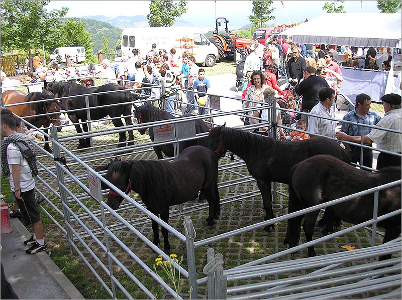 Feria Ganadera y Agrícola de Aia,Guipúzcoa – 22 de Mayo del 2016.