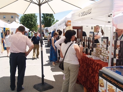 XI Feria de Muestras Comarcal de Campo de San  Pedro,Segovia – 4 y 5 de Junio del 2016.