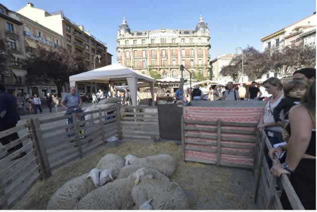 [Pamplona, Navarra] Mercado Medieval – 596 aniversario del otorgamiento del Privilegio de la Unión de los Burgos del 06 al 08 de Septiembre del 2019