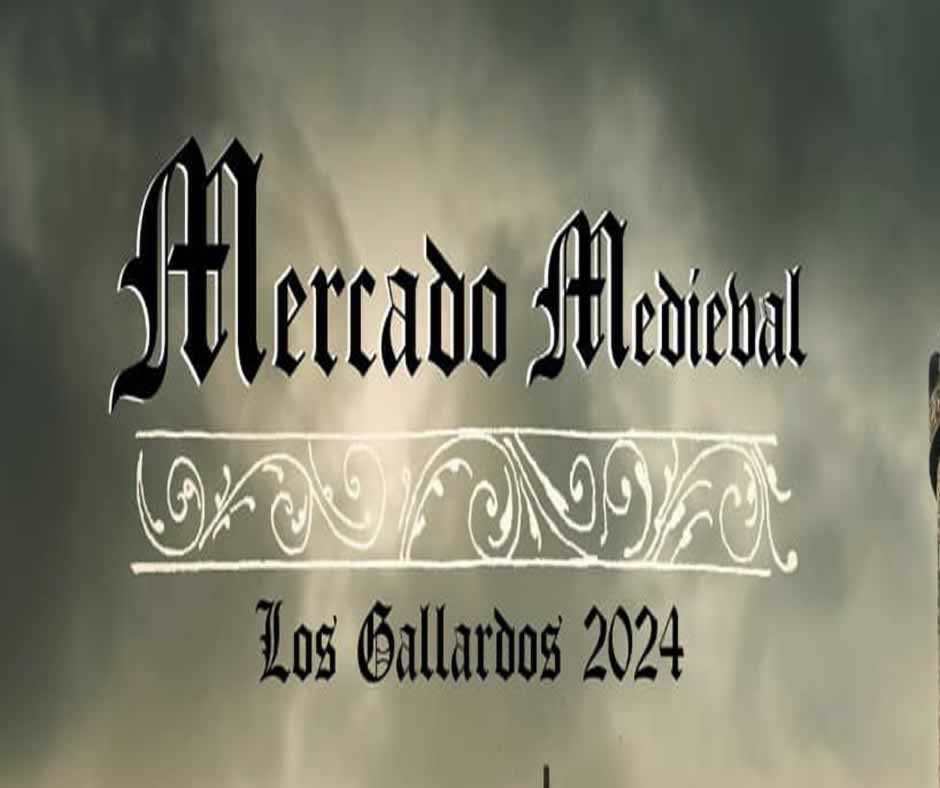 Mercado Medieval de Los Gallardos 2024 f