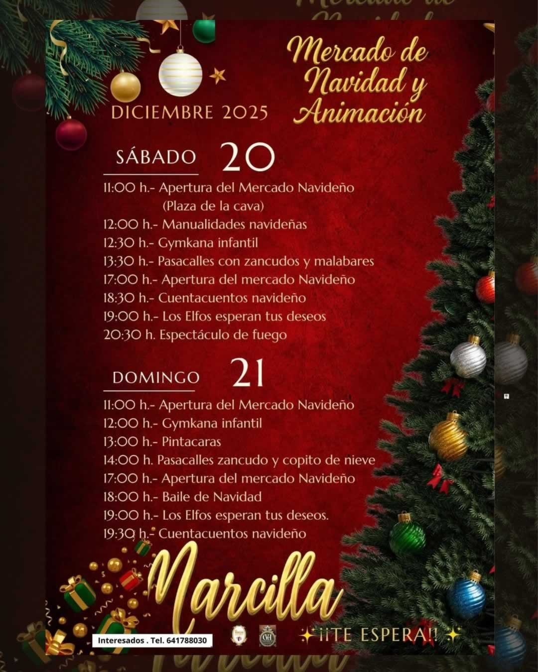 Mercado Navideño de Marcilla (Navarra) 2025 IG