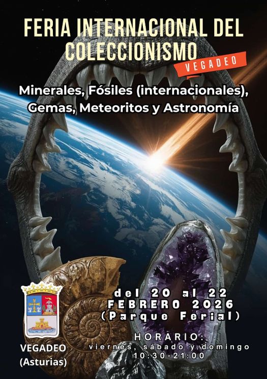 Cartel Feria de Minerales Vegadeo