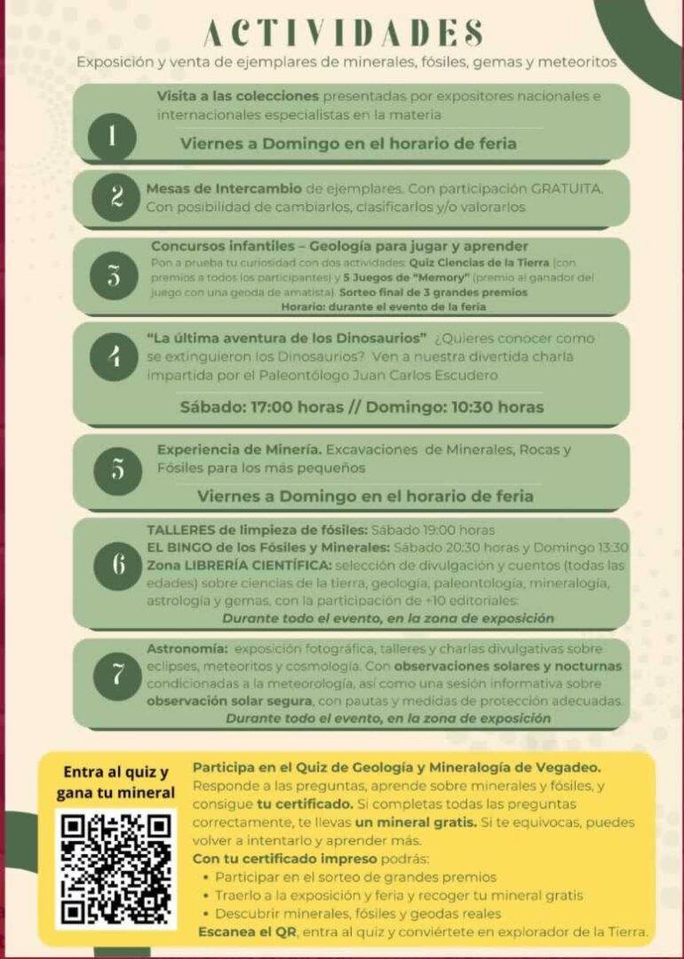 coleccionismo vegadeo actividades