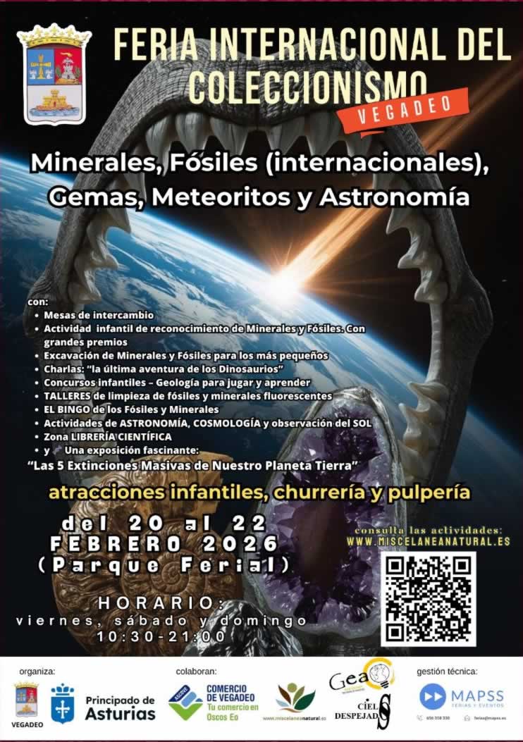 coleccionismo vegadeo cartel