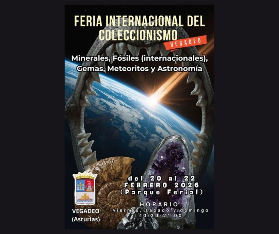 fb Feria de Minerales Vegadeo