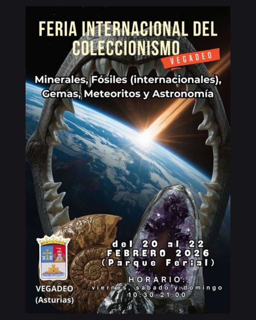 feria coleccionismo 2026 ig