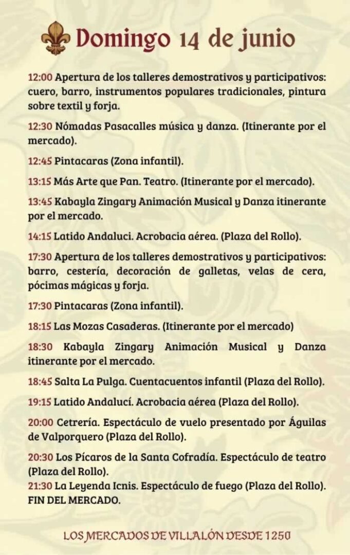 mercado comarcal villalon domingo